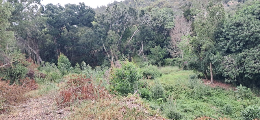  Bedroom Property for Sale in Phantom Village Western Cape